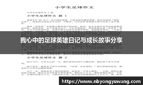 中欧体育官网