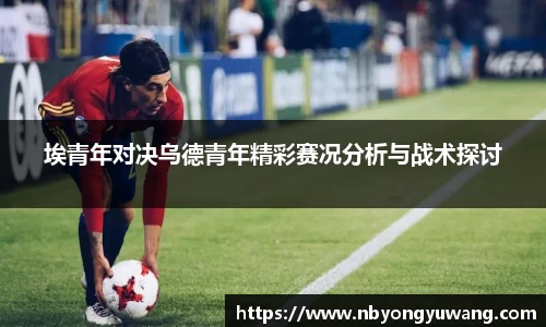 中欧体育