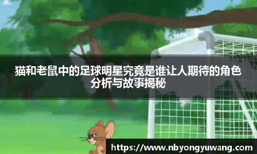 zoty中欧有限公司