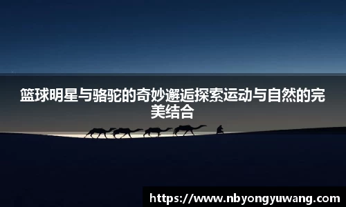 zoty中欧